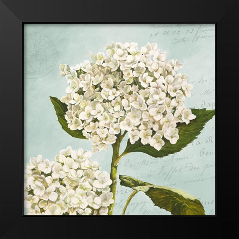 Hydrangeas II (Aqua) Black Modern Wood Framed Art Print by Remy, Dellal