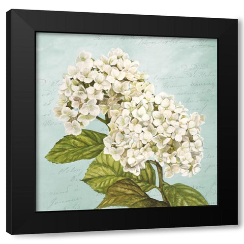 Hydrangeas III (Aqua) Black Modern Wood Framed Art Print with Double Matting by Remy, Dellal