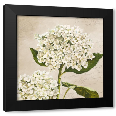 Hydrangeas II (Neutre) Black Modern Wood Framed Art Print with Double Matting by Remy, Dellal