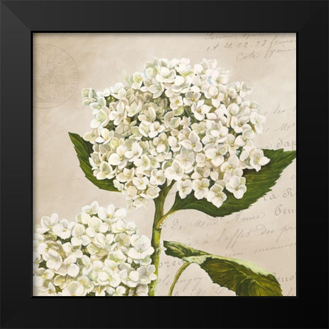 Hydrangeas II (Neutre) Black Modern Wood Framed Art Print by Remy, Dellal