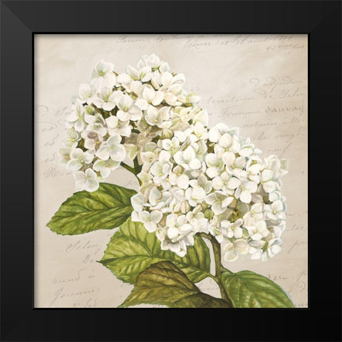 Hydrangeas III (Neutre) Black Modern Wood Framed Art Print by Remy, Dellal