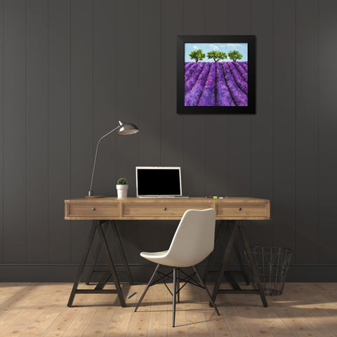 Filari di lavanda Black Modern Wood Framed Art Print by Germani, Massimo