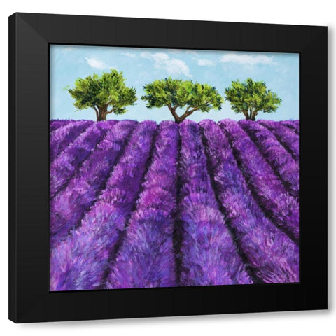 Filari di lavanda Black Modern Wood Framed Art Print by Germani, Massimo