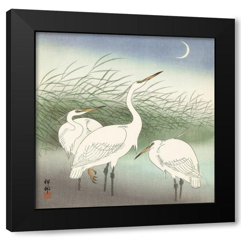 Herons in shallow water Black Modern Wood Framed Art Print by Koson, Ohara