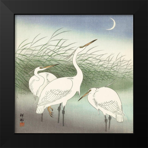 Herons in shallow water Black Modern Wood Framed Art Print by Koson, Ohara