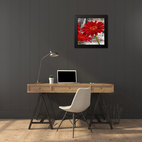Red Gerberas II Black Modern Wood Framed Art Print by Thomlinson, Jenny