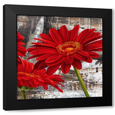 Red Gerberas II Black Modern Wood Framed Art Print by Thomlinson, Jenny