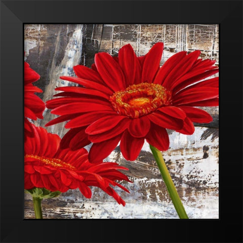 Red Gerberas II Black Modern Wood Framed Art Print by Thomlinson, Jenny