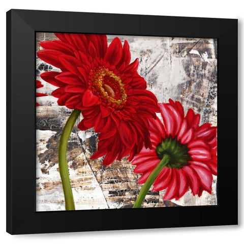 Red Gerberas III Black Modern Wood Framed Art Print by Thomlinson, Jenny