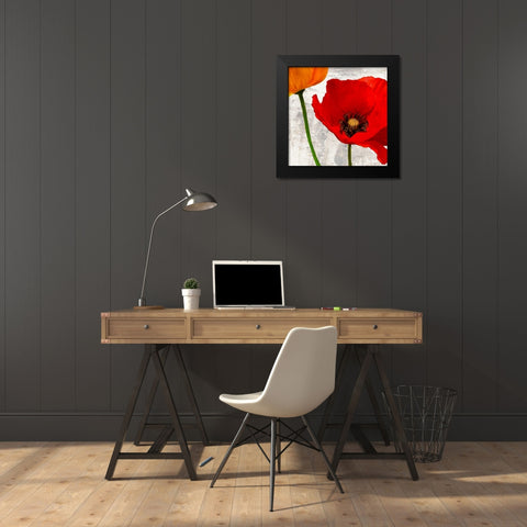 Summer Poppies I Black Modern Wood Framed Art Print by Thomlinson, Jenny
