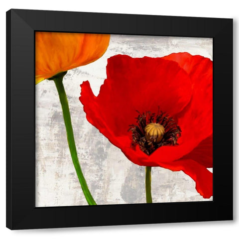 Summer Poppies I Black Modern Wood Framed Art Print by Thomlinson, Jenny
