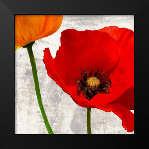 Summer Poppies I Black Modern Wood Framed Art Print by Thomlinson, Jenny