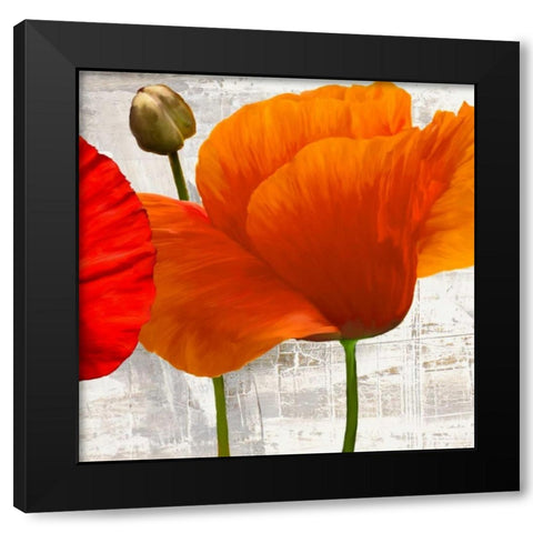 Summer Poppies II Black Modern Wood Framed Art Print by Thomlinson, Jenny