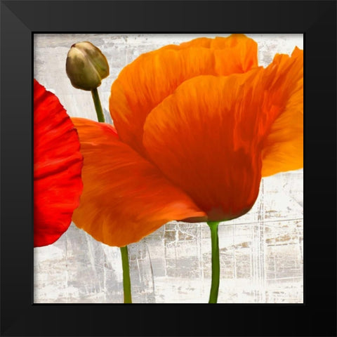 Summer Poppies II Black Modern Wood Framed Art Print by Thomlinson, Jenny