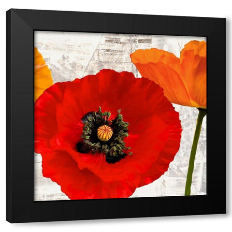 Summer Poppies III Black Modern Wood Framed Art Print by Thomlinson, Jenny