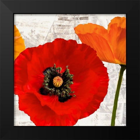 Summer Poppies III Black Modern Wood Framed Art Print by Thomlinson, Jenny