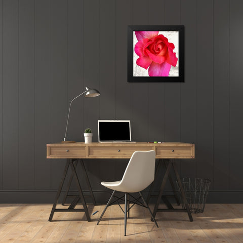 Spring Roses I Black Modern Wood Framed Art Print by Thomlinson, Jenny
