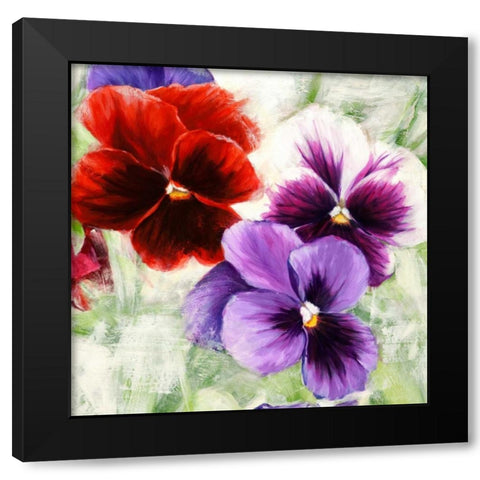Pansies I Black Modern Wood Framed Art Print by Thomlinson, Jenny