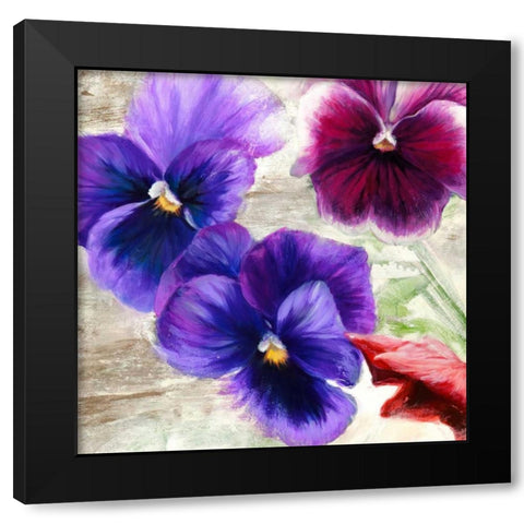 Pansies II Black Modern Wood Framed Art Print with Double Matting by Thomlinson, Jenny