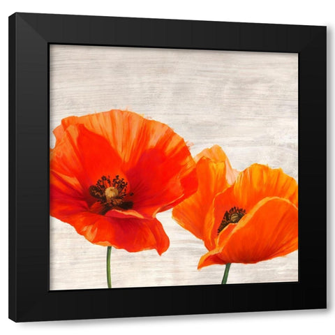 Bright Poppies I Black Modern Wood Framed Art Print with Double Matting by Jenny, Thomlinson
