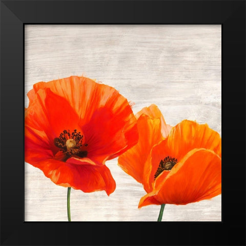 Bright Poppies I Black Modern Wood Framed Art Print by Jenny, Thomlinson