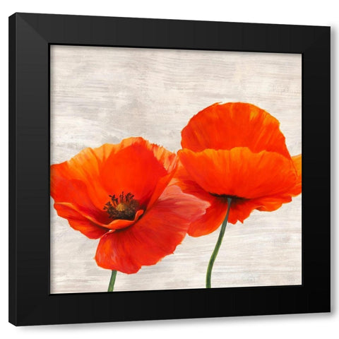Bright Poppies II Black Modern Wood Framed Art Print with Double Matting by Jenny, Thomlinson