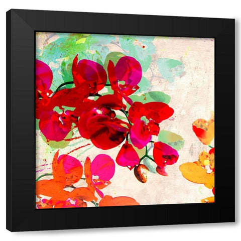 Orchidreams (detail) Black Modern Wood Framed Art Print by Kelly, Parr
