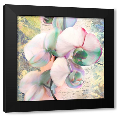 Kaleidoscope Orchid (detail) Black Modern Wood Framed Art Print by Kelly, Parr