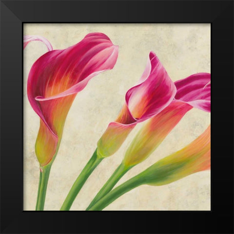 Calla parade Black Modern Wood Framed Art Print by Villa, Luca