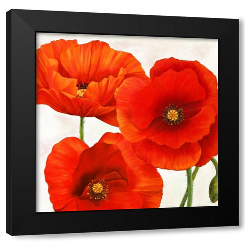 Poppies I Black Modern Wood Framed Art Print by Villa, Luca
