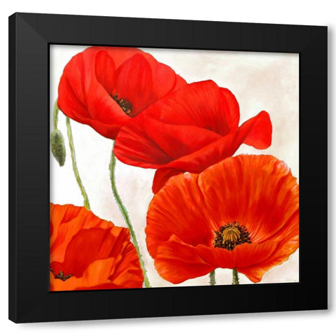 Poppies II Black Modern Wood Framed Art Print with Double Matting by Villa, Luca