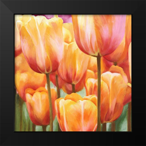Spring Tulips II Black Modern Wood Framed Art Print by Villa, Luca