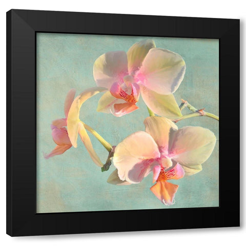 Jewel Orchids I Black Modern Wood Framed Art Print by Villa, Luca