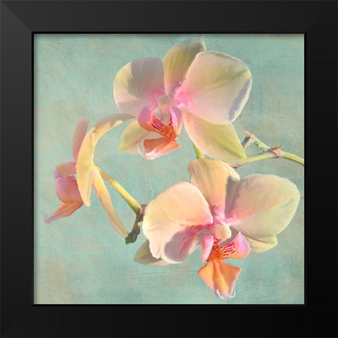 Jewel Orchids I Black Modern Wood Framed Art Print by Villa, Luca