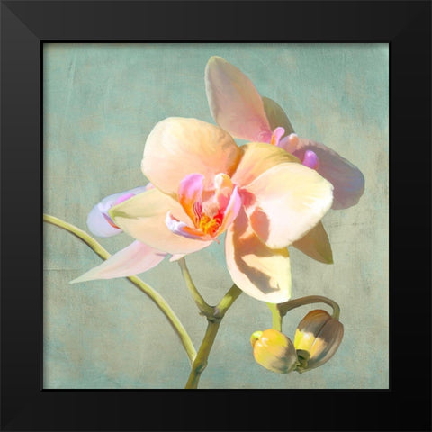 Jewel Orchids II Black Modern Wood Framed Art Print by Villa, Luca
