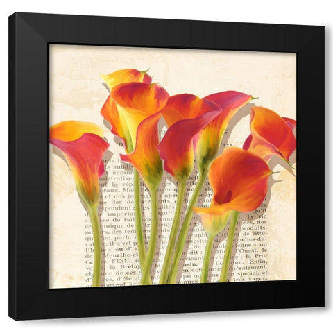 Histoires de Callas (detail) Black Modern Wood Framed Art Print by Villa, Luca