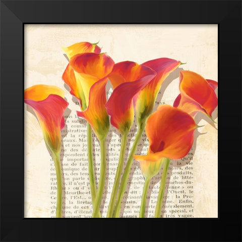 Histoires de Callas (detail) Black Modern Wood Framed Art Print by Villa, Luca