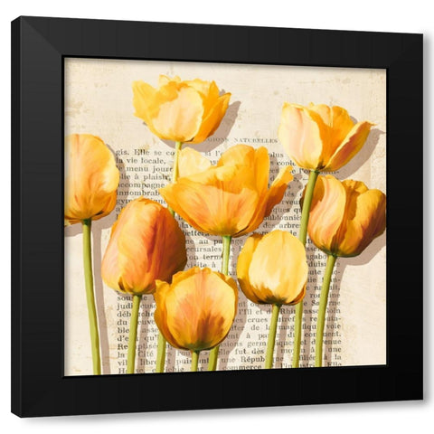Histoires de Tulipes (detail) Black Modern Wood Framed Art Print by Villa, Luca