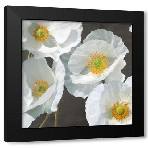 Poppies on Chalkboard I Black Modern Wood Framed Art Print by Leonardo, Sanna