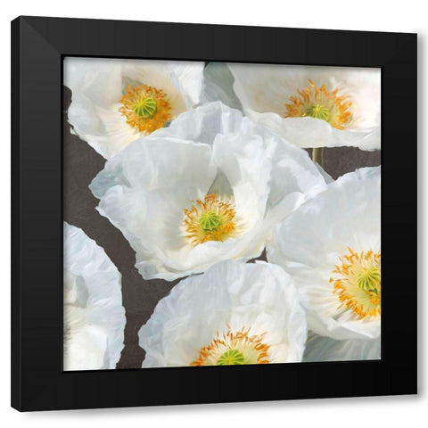 Poppies on Chalkboard II Black Modern Wood Framed Art Print by Leonardo, Sanna