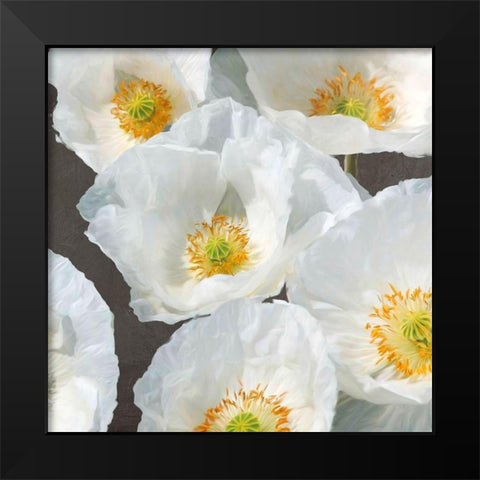 Poppies on Chalkboard II Black Modern Wood Framed Art Print by Leonardo, Sanna