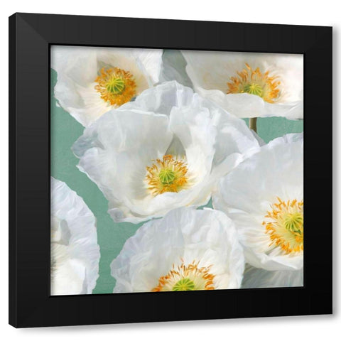 Poppies on Mint II Black Modern Wood Framed Art Print with Double Matting by Leonardo, Sanna