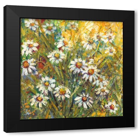 Margherite nel sole Black Modern Wood Framed Art Print by Florio, Luigi