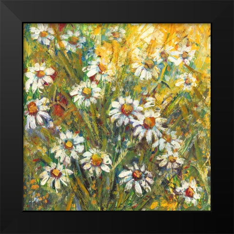 Margherite nel sole Black Modern Wood Framed Art Print by Florio, Luigi