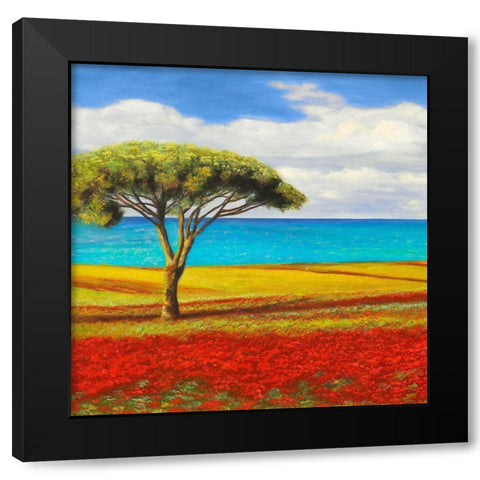 Mediterraneo I Black Modern Wood Framed Art Print with Double Matting by Angelo, Masera