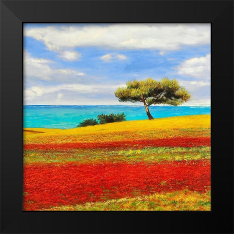 Mediterraneo II Black Modern Wood Framed Art Print by Angelo, Masera
