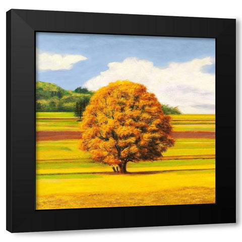 Pianure serene I (detail) Black Modern Wood Framed Art Print with Double Matting by Angelo, Masera