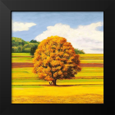 Pianure serene I (detail) Black Modern Wood Framed Art Print by Angelo, Masera