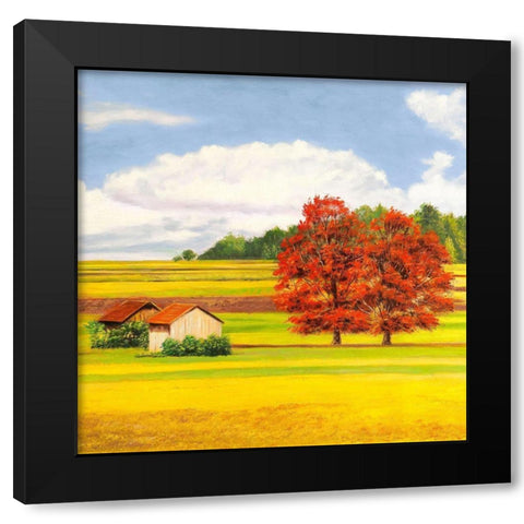 Pianure serene II (detail) Black Modern Wood Framed Art Print with Double Matting by Angelo, Masera