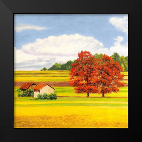 Pianure serene II (detail) Black Modern Wood Framed Art Print by Angelo, Masera